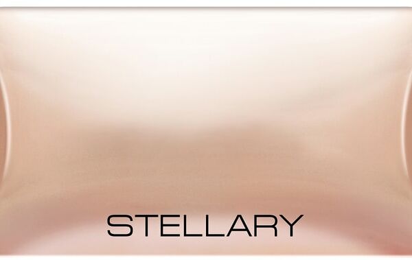 Пудра компактная для лица Stellary Compact powder с зеркалом Песочный Тон 04