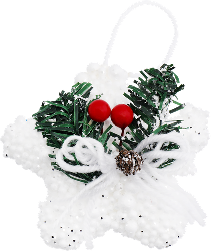 

Набор елочных украшений Homeclub Классическое рождество Звезды 10 см пластик EG68-17F53010W 5 шт