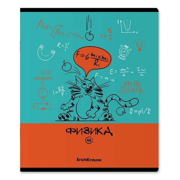 Тетрадь ERICHKRAUSE Котоформулы Физика, 48 листов, в клетку, Арт. 59508