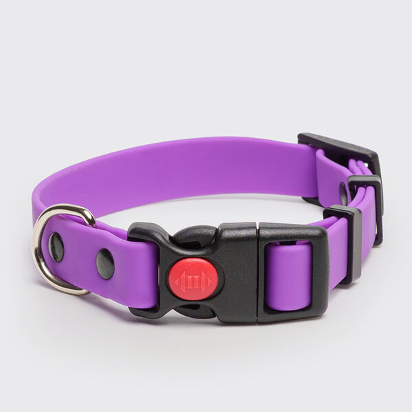 Ошейник Rungo из биотана с фастексом, 15мм, обх.шеи. 20-31см, матовый, фиолетовый