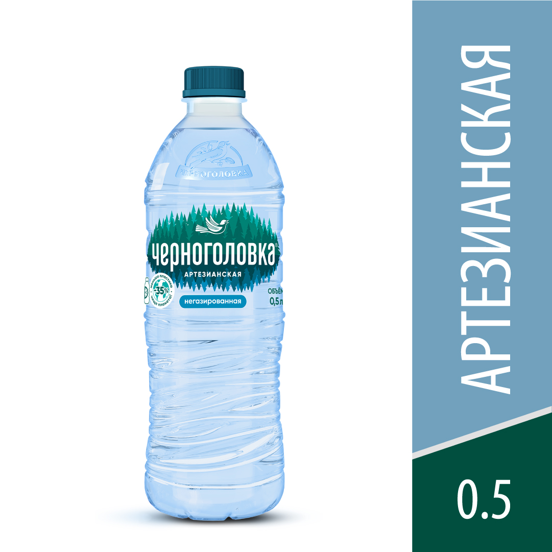 

Вода артезианская Черноголовка негазированная 0.5 л