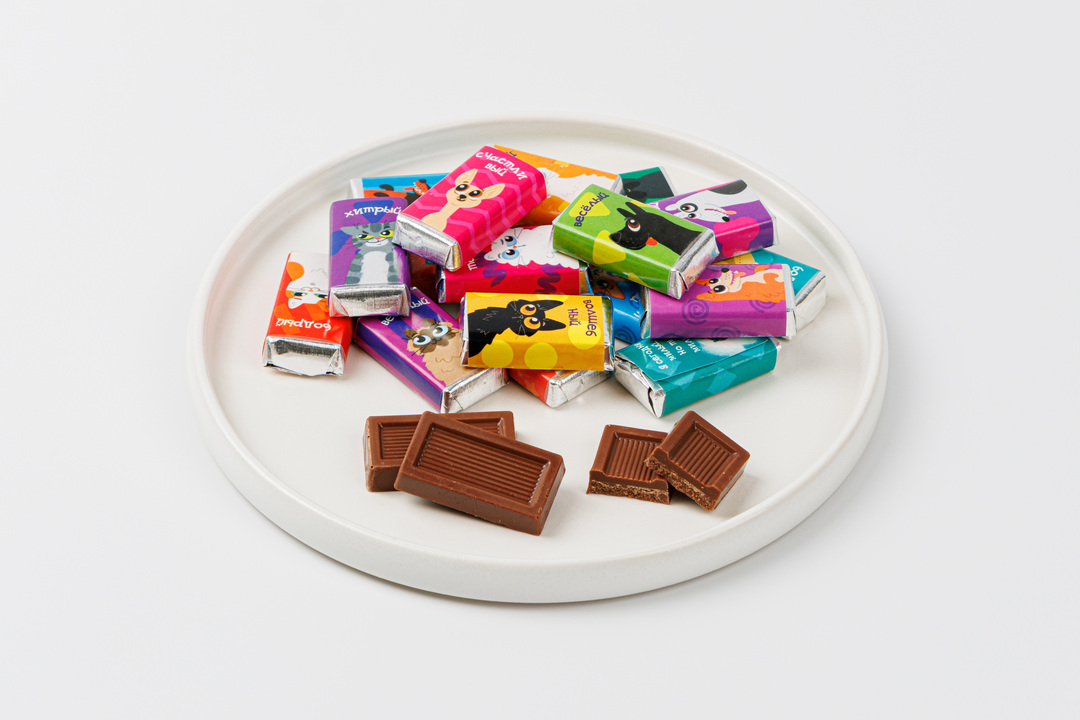 

Шоколад молочный Замурчательные друзья 100 г