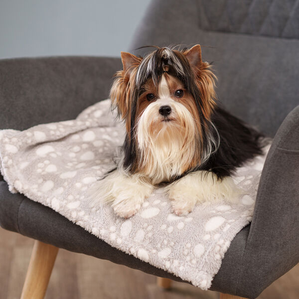 Плед Альв 70x100 см, лапки