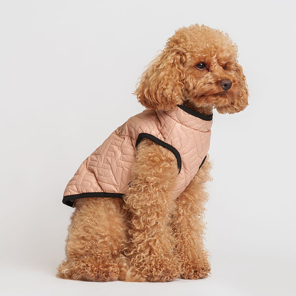 Куртка для собак Rurri на замке бежевая L