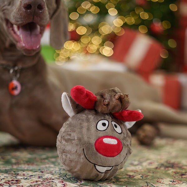 Игрушка для собак Мяч Олень, 18х15х10 см