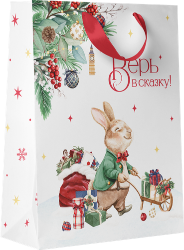 

Пакет подарочный ПАКЕТИКО Рождественский вечер 22,7х18х10см, цвет в ассортименте, 1 шт