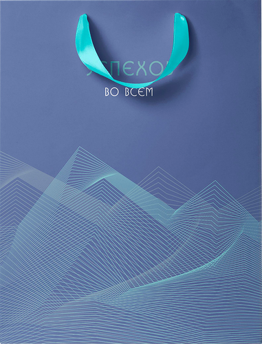 Пакет подарочный Paketiko декоративный, 22.7х18х10 см, дизайн в ассортименте