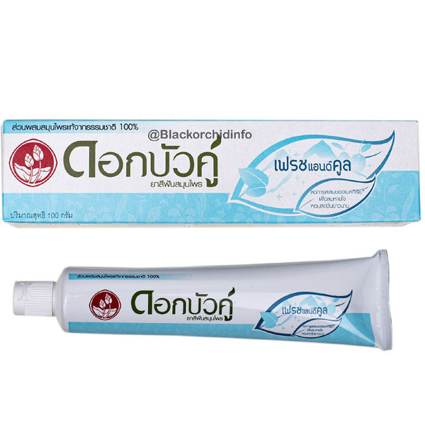 Зубная паста Twin Lotus Свежесть и прохлада с травами 40 г