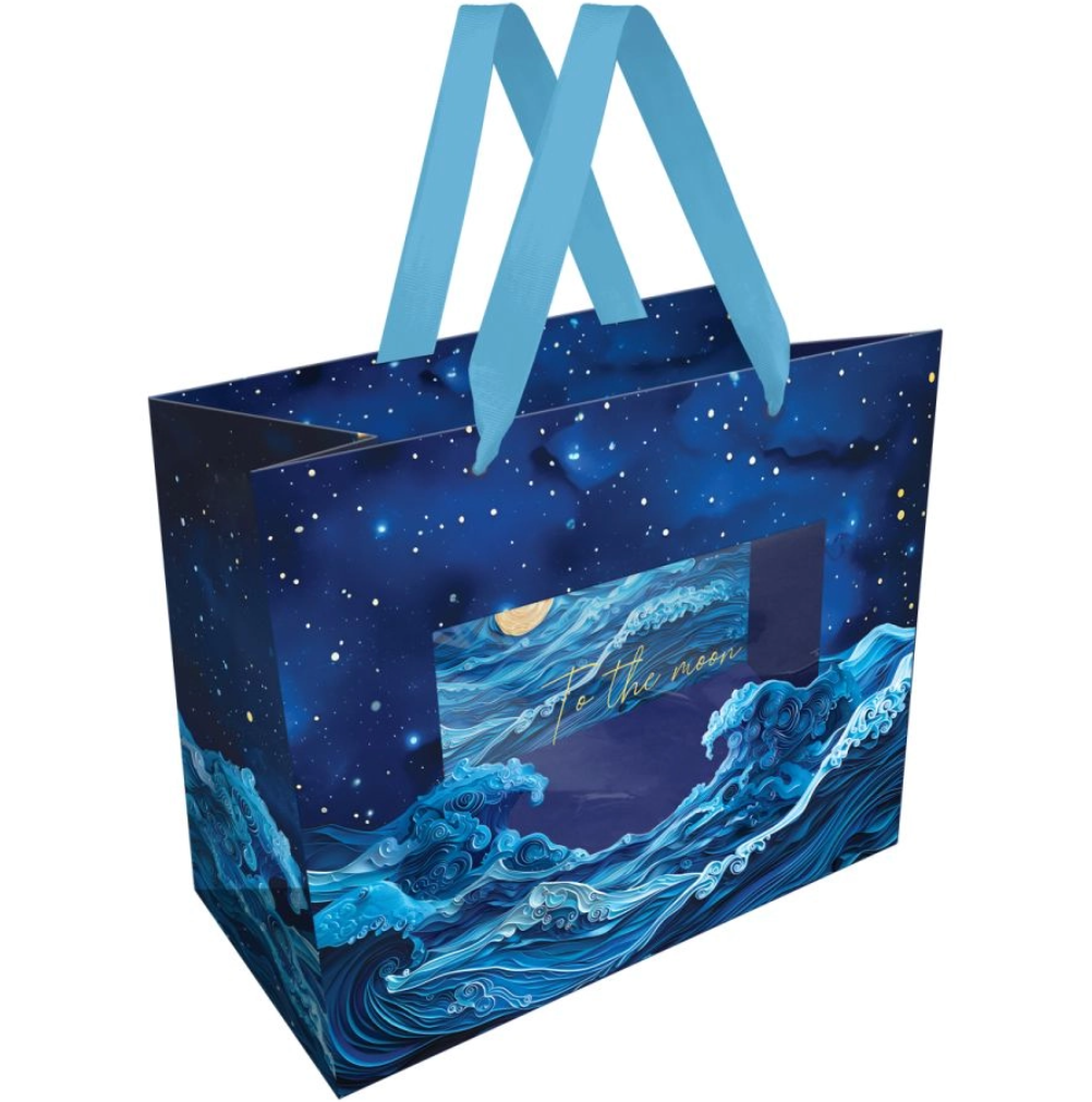 

Пакет подарочный Meshu 23х18х10 см Moon sky, фольга, матовая ламинация в ассортименте