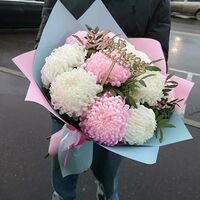 Изображение 2