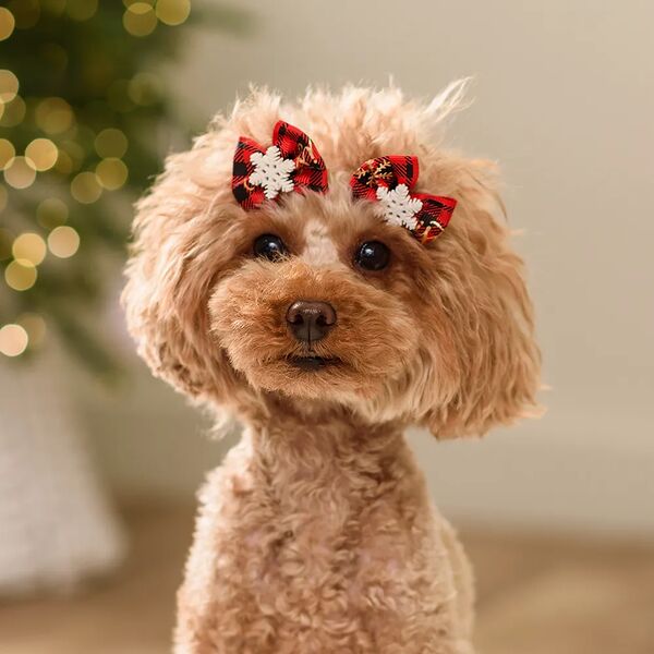 Бантики в клетку для собак и кошек, 4х3.5 см, красные, 2 шт