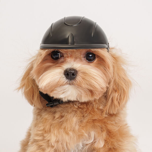 Шлем для собак черный Rurri 9 см