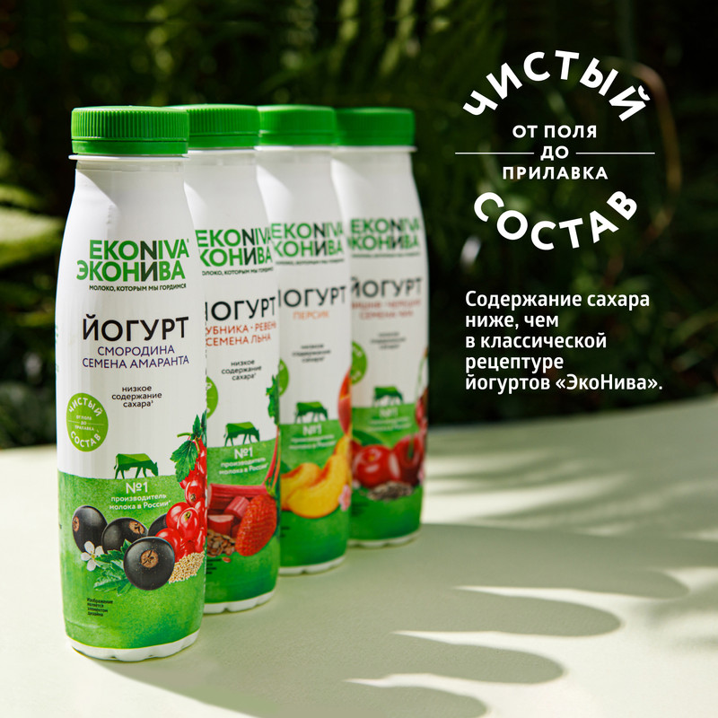 

Йогурт питьевой ЭкоНива со смородиной и семенами амаранта 2.5% 300 г