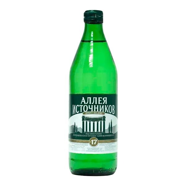 Вода минеральная Аллея Источников Ессентуки №17 газированная 500 мл