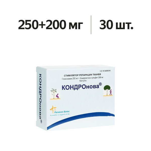 Кондронова капсулы 250 мг + 200 мг 30 шт