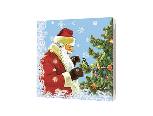 

Салфетки бумажные Bgreen В гостях у Деда Мороза трёхслойные 33x33 см, 20 шт