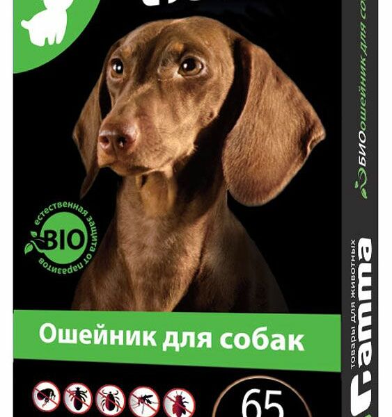 Ошейник Гамма Bio для собак от внешних паразитов, 65 см