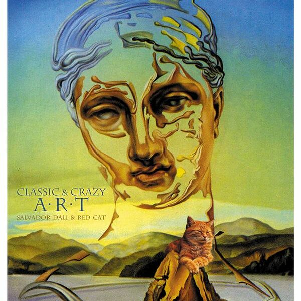 Тетрадь А5 Hatber Женщина с кошкой в клетку дизайн, в ассортименте, 48 листов