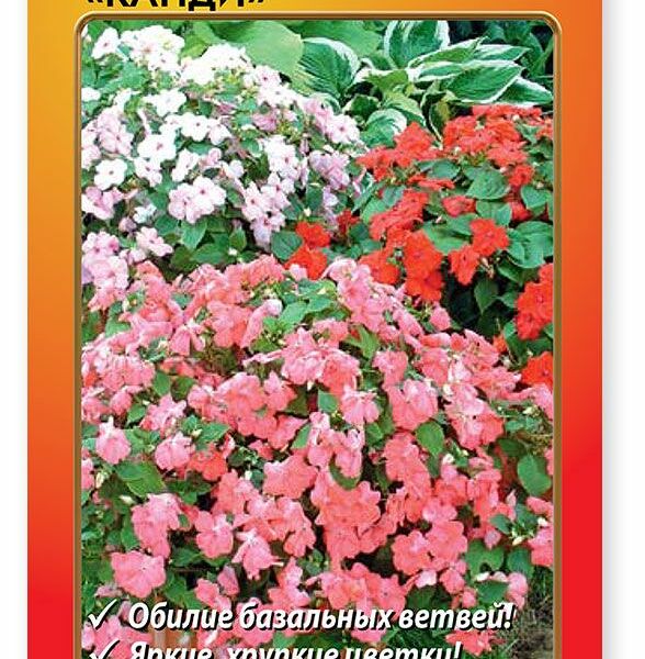 Бальзамин F1 Канди Русский Огород семена, 10 шт.