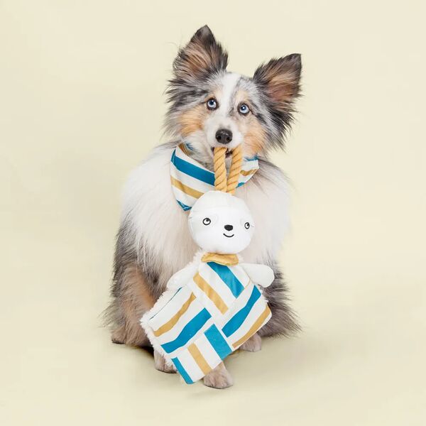 Игрушка с пищалкой и канатом для собак Аквамарин