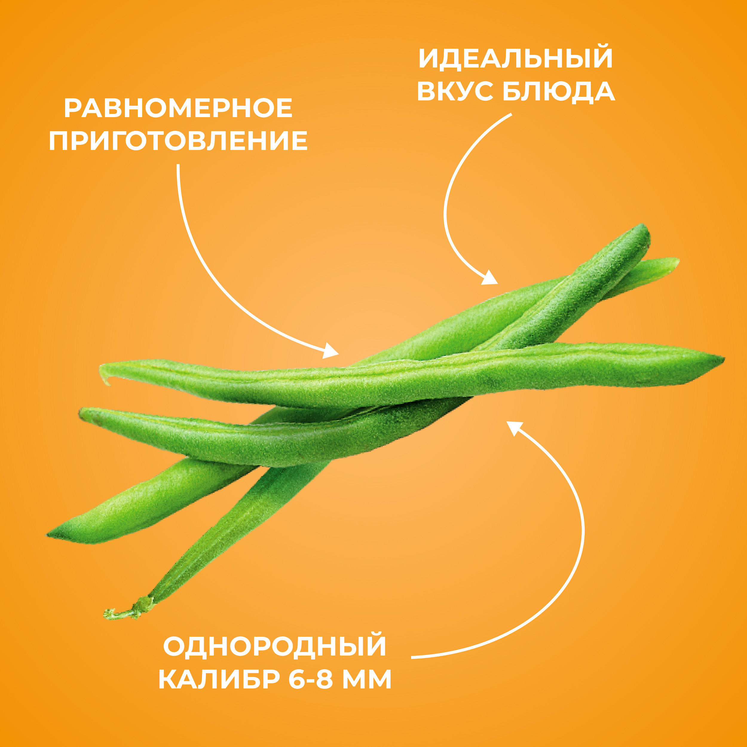 

Фасоль замороженная Бондюэль фермерская тонкая целая 400 г