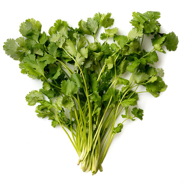 Зелень Маркет Fresh Кинза премиум упаковка, 100 г