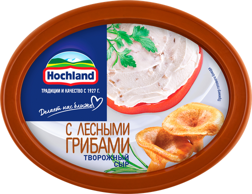 

Сыр творожный Hochland с лесными грибами 60% 140 г