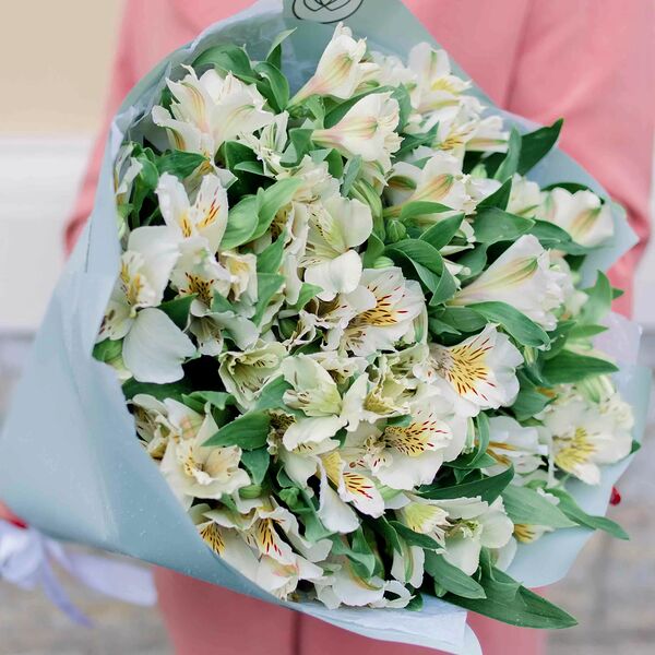 Букет из 25 белых альстромерий