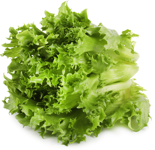 

Салат Выборжец Фриллис 100 г