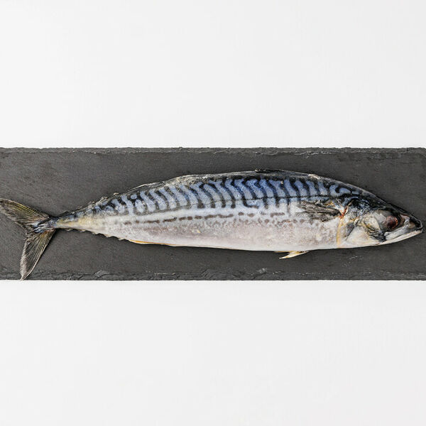 Скумбрия 300/600 ВкусВилл замороженная вес