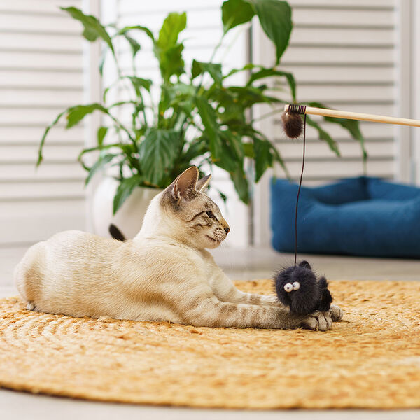 Дразнилка для кошек Осьминог из натуральной норки, 13 и 80 см