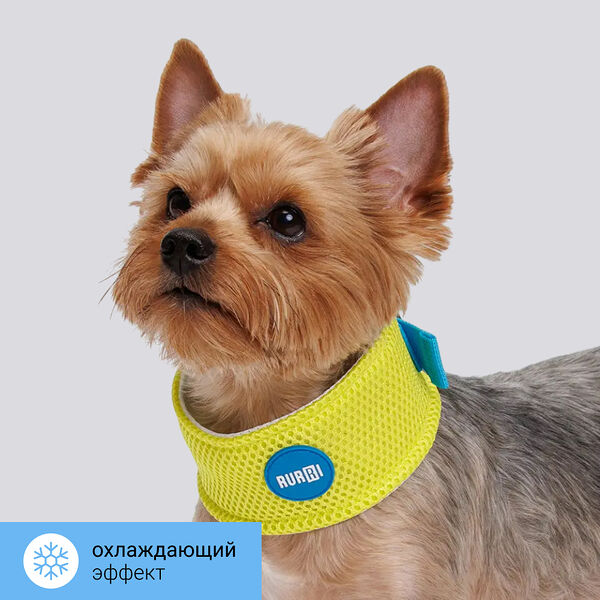 Ошейник охлаждающий для собак и кошек, M, салатовый