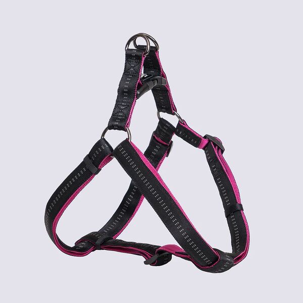 Шлейка Rungo Step-in Downtown XL: 25 мм x 80-100 см черный с орхидеей