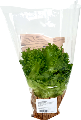 

Салат Травки с грядки Афицион, в горшочке 50 г