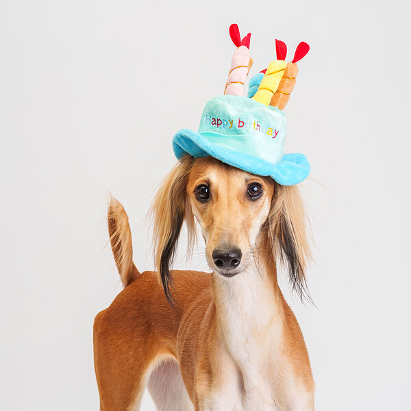 Шляпка Rurri Happy Birthday 18 см голубая