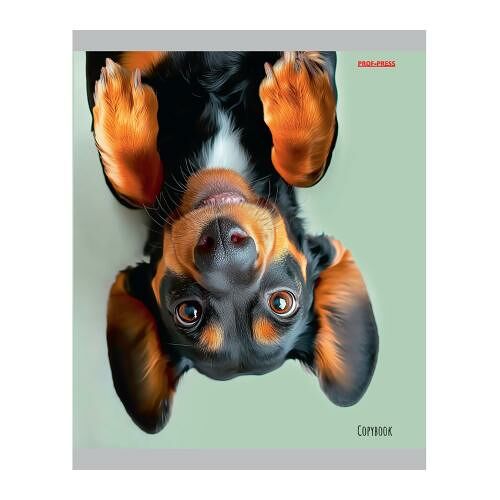 Тетрадь Проф-Пресс Собаки цветная мелованная обложка А5 48 л клетка в ассортименте