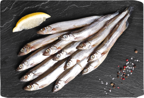 

Мойва Лента Fresh непотрошеная с головой (из замороженного сырья), весовая