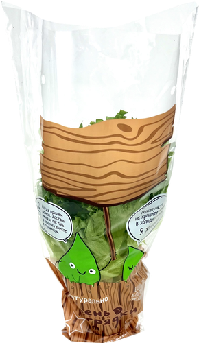 

Салат Травки с грядки Фриллис, в горшочке 50 г