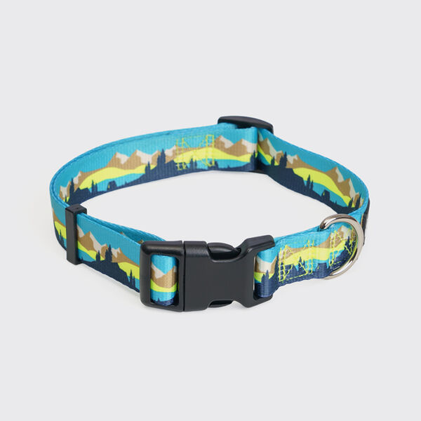 Ошейник Rungo 1.5х30-45 см горный голубой