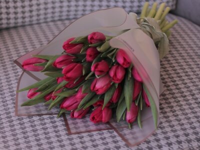 Букет из 25 тюльпанов