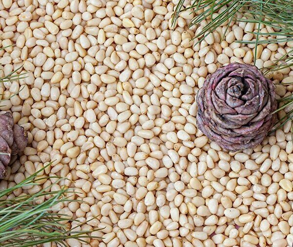 Ядро кедрового ореха очищенное 100г