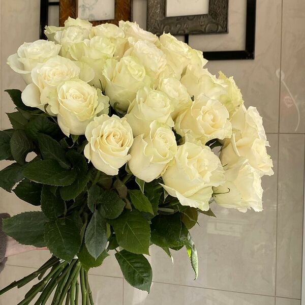 Белые розы 25 штук