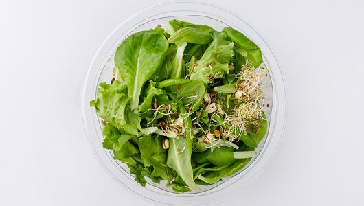 Аквасалат с проростками 