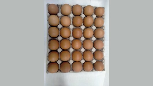 

Яйца куриные пищевые столовые Волжанин С1, 30 шт.