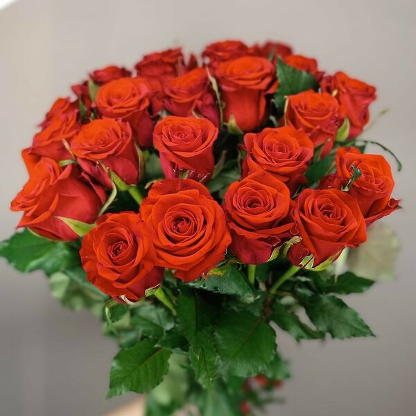 21 яркая красная роза с ленточкой