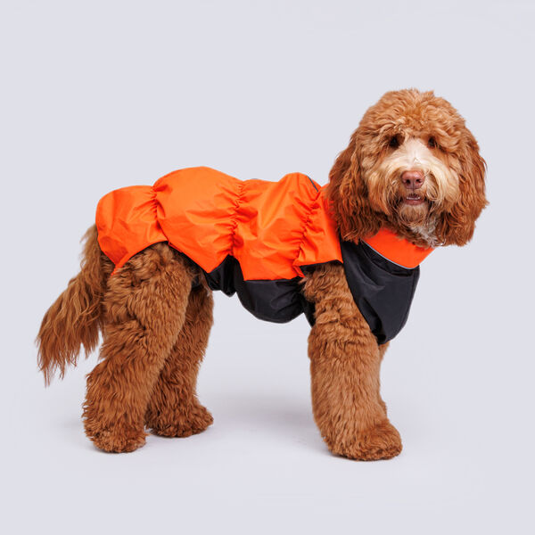 Жилетка с мембраной и подкладкой для собак, 60х80 см, оранжевый (мальчик)