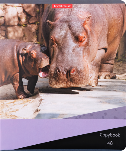 

Тетрадь общая ErichKrause Идиллия, в линейку, 48 листов, в ассортименте