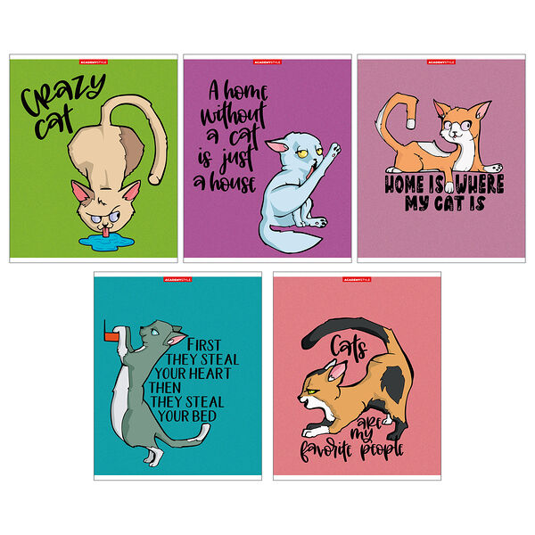 Тетрадь ACADEMY STYLE Котолюбовь, А5, 48 листов, в клетку, на скрепке, в ассортименте 