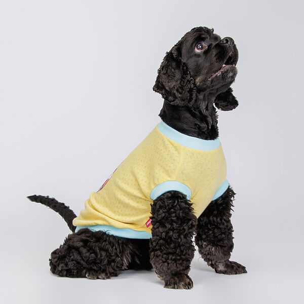 Petmax Футболка желтая с пейзажем 4XL