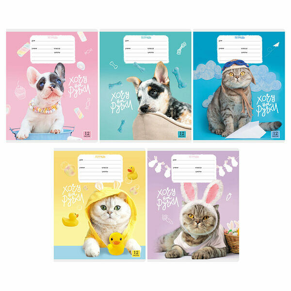Тетрадь BG Кошечки-Собачки, 18 листов, в клетку, Арт. 370555, в ассортименте